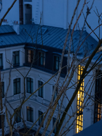 Une rangée verticale de fenêtres allumées dans un immeuble éteint, à l'heure de la lumière bleue. Devant, le tronc et les branches d'un arbre sans feuilles.